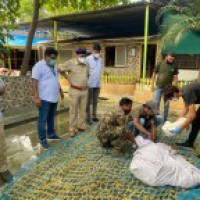 2 injured deer rescued from Thane buildings