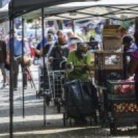 21 US states report increase in Covid-19 cases