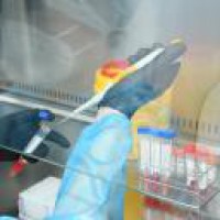 Africa's confirmed Covid-19 cases pass 1.96 million