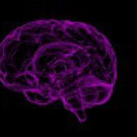 Herpes infection may impair human brain development: Study