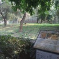 Closure of zoo due to Corona brings relief for animals