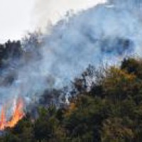 Climate change increases frequency of wildfires globally: Study