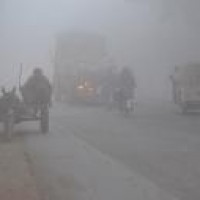 Severe cold wave grips Punjab, Haryana
