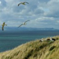 Scientists map submerged continent of Zealandia for 1st time