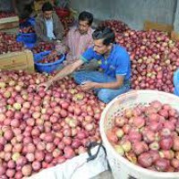 Labour shortage from Nepal may upset Himachal's applecart