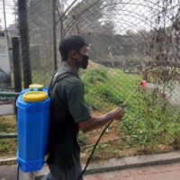 Bird flu scare: Centre asks states, UTs to increase surveillance