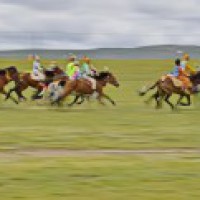 Winning amount in horse race, game of chance will not attract GST