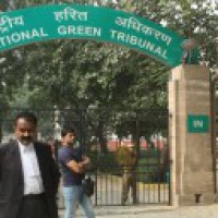 Recover sewage charges from households: NGT to Delhi govt