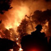 California sees 7,860 wildfires, 3.4 mln acres burned this year