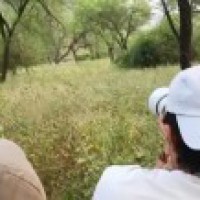 Randeep Hooda's dream of sighting a leopard in the wild comes true