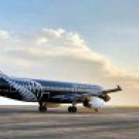 NZ airline trials edible coffee cups to reduce waste