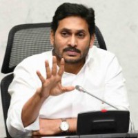 Andhra celebrates Formation Day, CM hoists tricolour