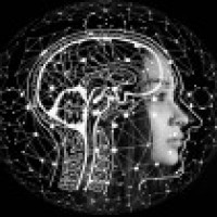 Realists enjoy more long-term happiness than optimists: Study