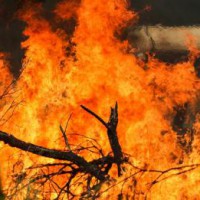 Australia's east coast on high alert for bushfire