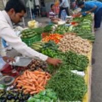 First trial shipment of vegetables send to Dubai