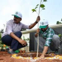 Actor Ram Charan participates in Green India challenge