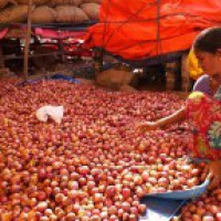 People prefer onion over free trip to Goa!
