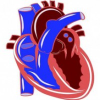 Covid induced unemployment may increase heart disease risk in NZ
