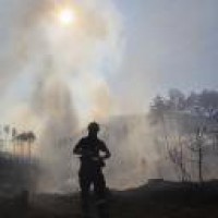 Bolivia declares national emergency over forest fires
