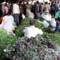 India's May WPI Food inflation eases to 2.31% 