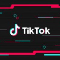 16-yr-old TikTok star found hanging in Delhi