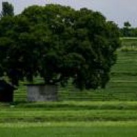 Registration of non-agri land on Telangana's online portal from Nov 23
