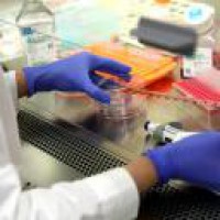 Hospitalized COVID-19 patients in Israel doubles since early June