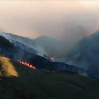 Week-long battle against wildfire continues in Nagaland, Manipur