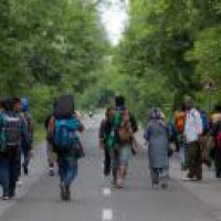 Provide jobs to migrants, drop cases against them: SC