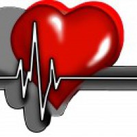 More action in bed recommended after heart attack