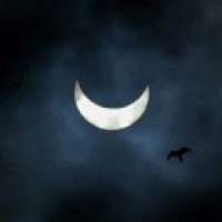 Why the far side of the Moon so different from near side