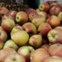 Low harvest makes Himachal apple business fruitful!