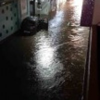 No respite from rain in Hyderabad