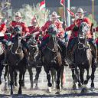 Systemic racism exists in Canadian police: Commissioner