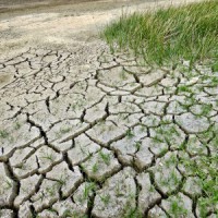 Climate change having uneven impact on world's arid regions