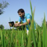 With Microsoft Cloud, CropData helping Indian farmers earn better