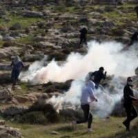 Palestine calls Israeli settlement activity 'blatant challenge'