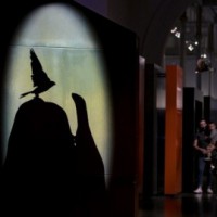 Australia's oldest museum offers late night entertainment