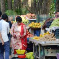Add fruit, veggies and grains to diet to reduce type 2 diabetes risk