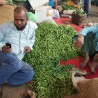 India's Sep WPI rises on high food prices
