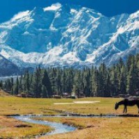 Pak aims to set up Special Economic Zone in Gilgit-Baltistan