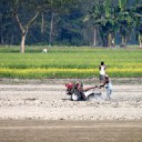 K'taka body recommends revolving fund of Rs 5K cr for farm procurement