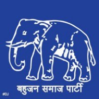 Despite revolt, BSP candidate's papers declared valid