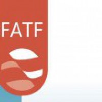 Pak submits progress report on 22 points to FATF joint group