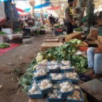 Urgent need to rationalise weights under retail inflation: Report