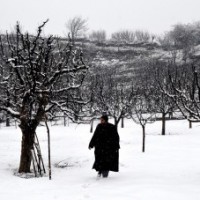 Intense cold amid dry spell till Jan 31 in J&K, Ladakh