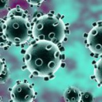 TN coronavirus tally rises to 78,335, death toll crosses 1K