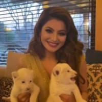 Urvashi Rautela has lioness cub named after her