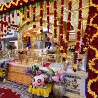 Thousands throng gurdwaras on Guru Gobind's 'Prakash Purb'