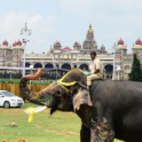 World famous Mysuru Palace shut for sanitisation after Covid scare